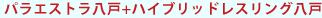 パラエストラ八戸+ハイブリッドレスリング八戸